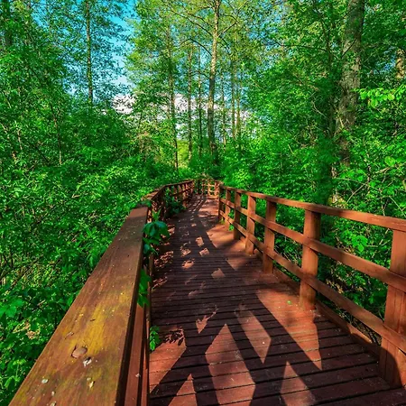 Na Wodzie - Houseboats Zalesie With Sauna Appartement