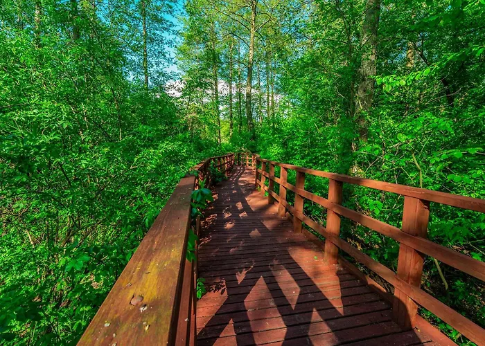 Na Wodzie - Houseboats Zalesie With Sauna Apartment